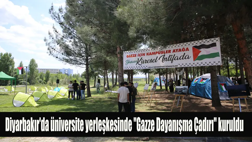 Diyarbakır'da üniversite yerleşkesinde 