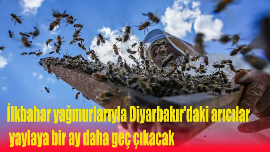 İlkbahar yağmurlarıyla Diyarbakır'daki arıcılar yaylaya bir ay daha geç çıkacak