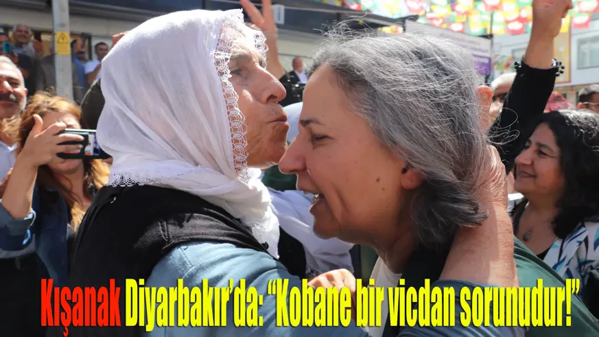 Kışanak Diyarbakır’da: “Kobane bir vicdan sorunudur!”