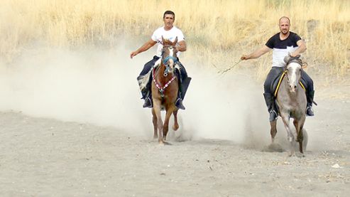 Yarış atlarına Van Gölü'nde antrenman yaptırıyor