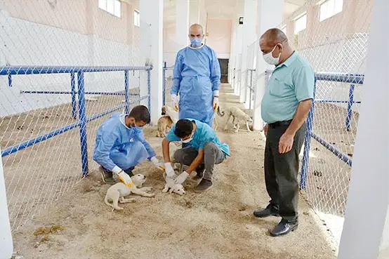 Ergani'de belediye Sokak Hayvanları Rehabilitasyon Merkezi kurdu