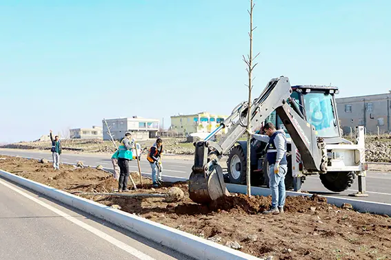 Diyarbakır'da Prof. Dr. Necmettin Erbakan Bulvarı'na 1700 ağaç dikildi