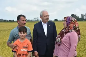 Kılıçdaroğlu çeltik tarlasında çiftçilerle buluştu