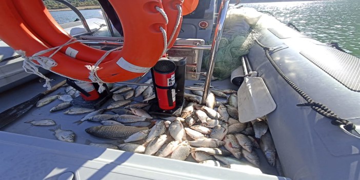  Ağa takılan 200 kilogram balık göle bırakıldı