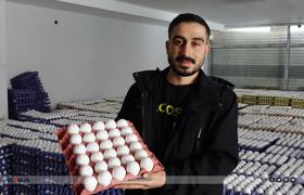 Yumurta fiyatı neden artıyor