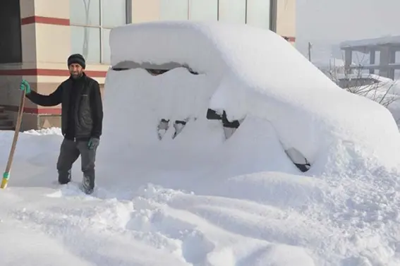 Her sene 1 metre karın olduğu Yüksekova'da bu sene bahar yaşanıyor