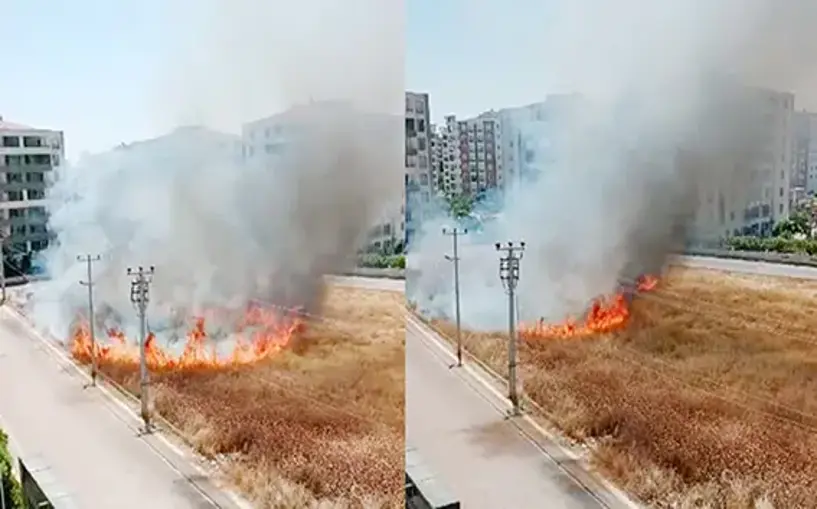 Diyarbakır'da sitelerin arasındaki otlukta yangın
