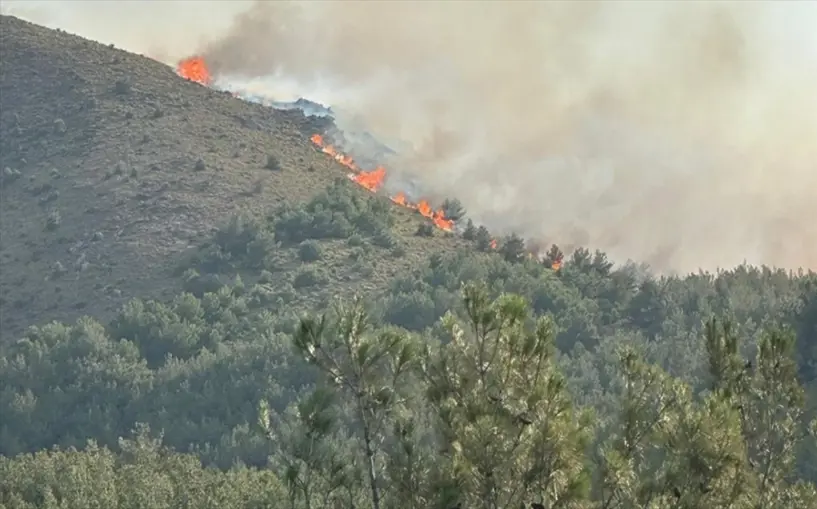 Video - Gökçeada'daki orman yangını 16 saat sonra kontrol altına alındı