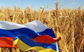 İtalya: Rusya'nın tahıl anlaşmasından çekilmesi bizi endişelendiriyor