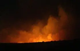Diyarbakır Lice'de orman yangını