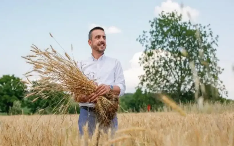 Ekmeği 1 liradan satan Kestel Belediyesi, buğday hasadını yaptı