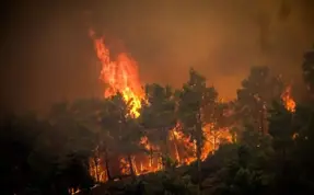 Rodos'taki orman yangını