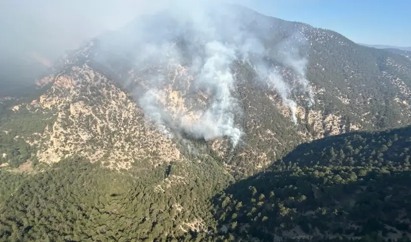 Bolu'da yıldırım düşmesi sonucu orman yangını çıktı