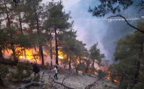(Video) Bolu’daki orman yangınına müdahale devam ediyor