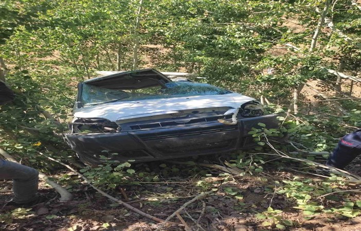 Bingöl’de hafif ticari araç şarampole yuvarlandı: 2 yaralı