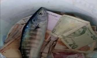 (Video) Kıyıköy’de balıkçının şansı tutuldu