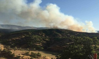 (Video) Bingöl’de çıkan orman yangını kontrol altına alındı