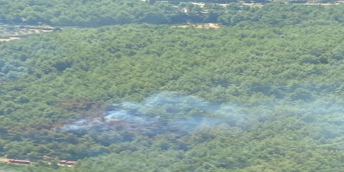 İzmir'de orman yangını kontrol altına alındı