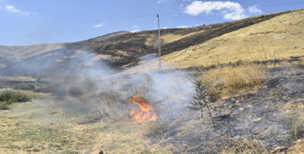 Bitlis'te çıkan örtü yangınında 12 hektar alan zarar gördü