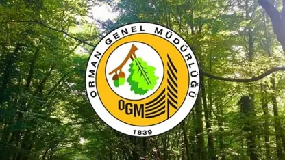 Orman Genel Müdürlüğü 170 sözleşmeli personel alacak: Tarım ve Orman Bakanlığı personel alımı başvuru şartları neler?
