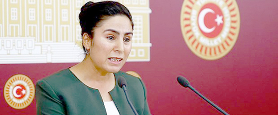 HDP milletvekili Sürücü'ye 3 yıla kadar hapis istemi