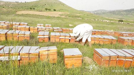 Gercüş'te çiftçilere arı kovanı dağıtıldı 