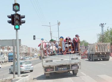 Diyarbakır'da tarım işçilerinin kamyonette tehlikeli yolculuğu 