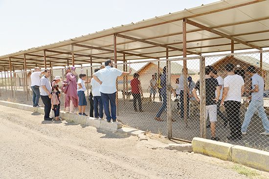 Diyarbakırlı vatandaşlardan Hayvan Bakımevi ve Rehabilitasyon Merkezi’ne ziyaret   