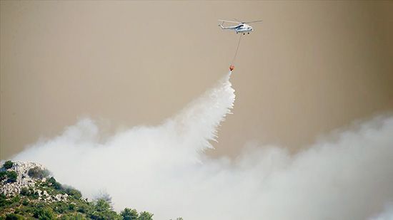 Şiddetli rüzgar orman yangınlarıyla mücadeleyi güçleştiriyor