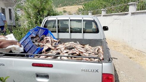 Yasa dışı avlanan 400 kilo balık ele geçirildi   