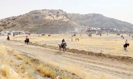 Mardin'de rahvan atları yarıştı