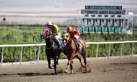Diyarbakır Barosu adına düzenlenen at koşusunu iptal etti