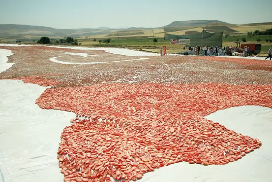 Kurutmalık domateslerle harita yaptı