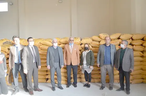 65 çiftçiye 45 ton sertifikalı mercimek tohumu dağıtıldı
