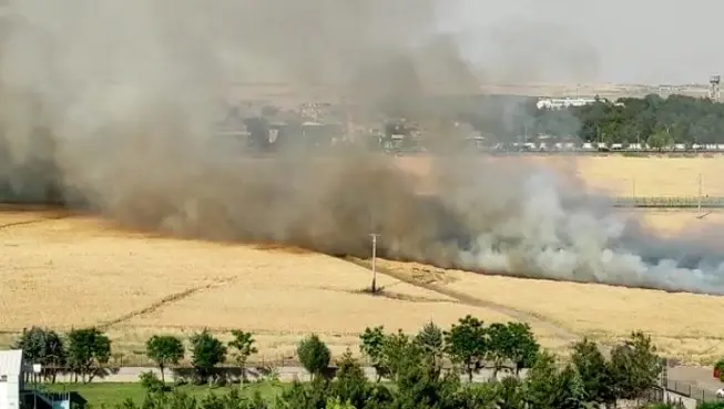 Batıkent’te tarım arazisinde yangın