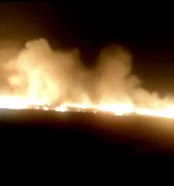 Diyarbakır'daki buğday ekili arazide yangın çıktı