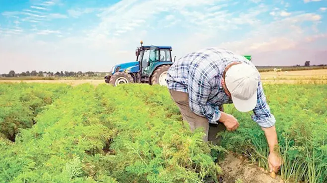 Çiftçi borçları faizsiz yapılansın