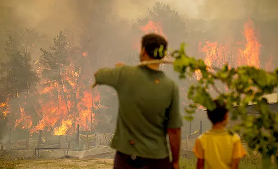 Orman yangınlarını özel ekip araştırıyor