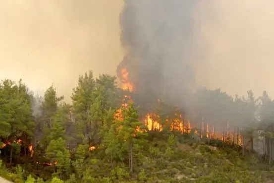 Türkiye'deki orman yangınları özverili çalışmalarla kontrol altına alınıyor