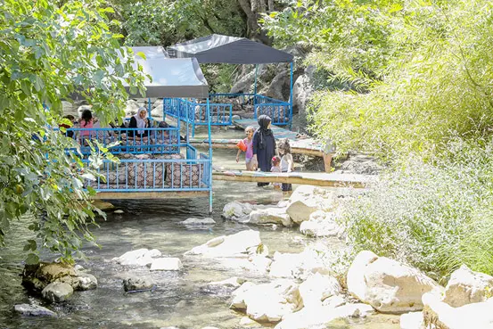 Sinekli çay ağırlıyor