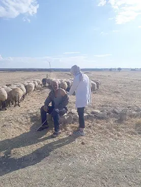 Sahadaki aşı ekibi, çobanın ayağına gitti