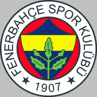 Fenerbahçe'ye 10 bin lira ceza!