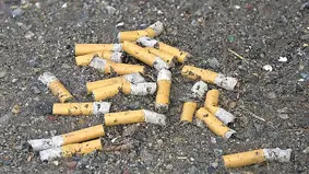 Sigara her yere zarar vericidir!