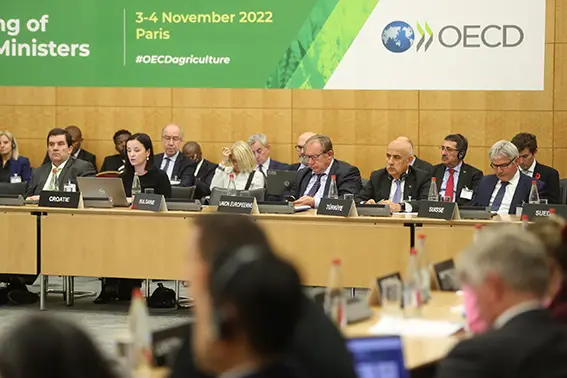 Bakan Kirişci: OECD'nin gündemi bizdik