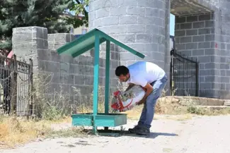 Ergani'de sokak hayvanlarına mama ve su desteği