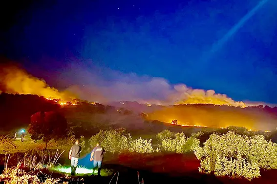 Diyarbakır'da 3 ayrı noktadaki orman yangını 3 saatte söndürüldü