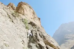4 bin 135 rakımlı Cilo Dağı'na 'kaya balı' tırmanışı