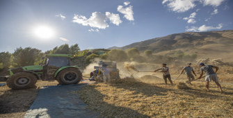 Tunceli Ovacık'ta 205 çiftçi 3 bin 671 dekarda fasulye üretiyor