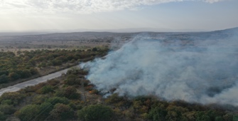 Edirne'de sınır kapısı yolu kenarında başlayıp ağaçlık alana sıçrayan yangın söndürüldü