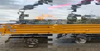 Nesilleri tükenme tehlikesi altında olmasına rağmen ölüyorlar 